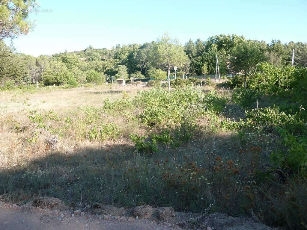 Terrain à CLERMONT-L&#039;HERAULT