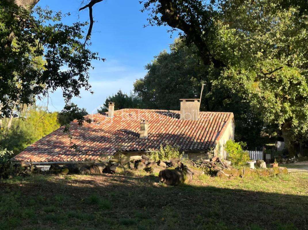 Petit hameau verdoyant : 3 maisons de charme dans un écrin de verdure et de tranquillité - photo 15