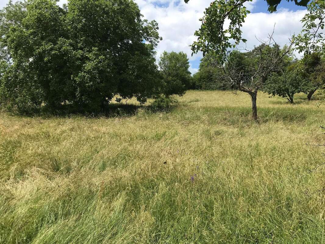 Maison à GRANCEY-LE-CHATEAU-NEUVELLE