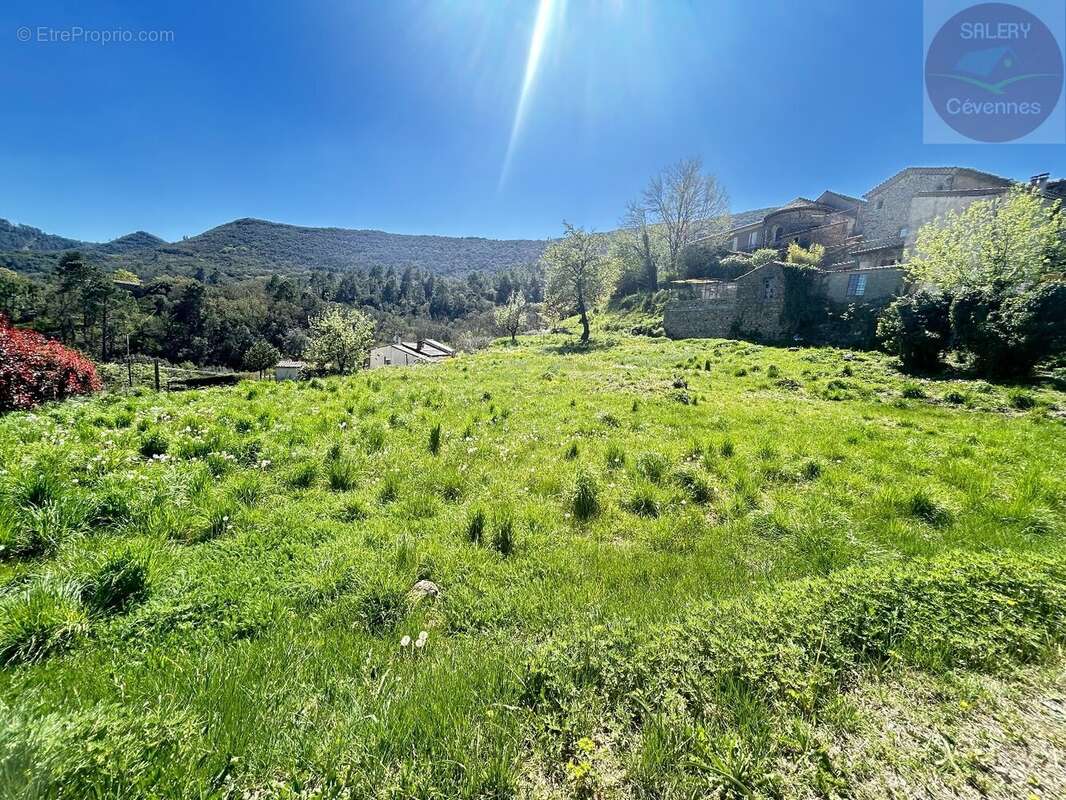 Terrain à SAINT-PAUL-LA-COSTE