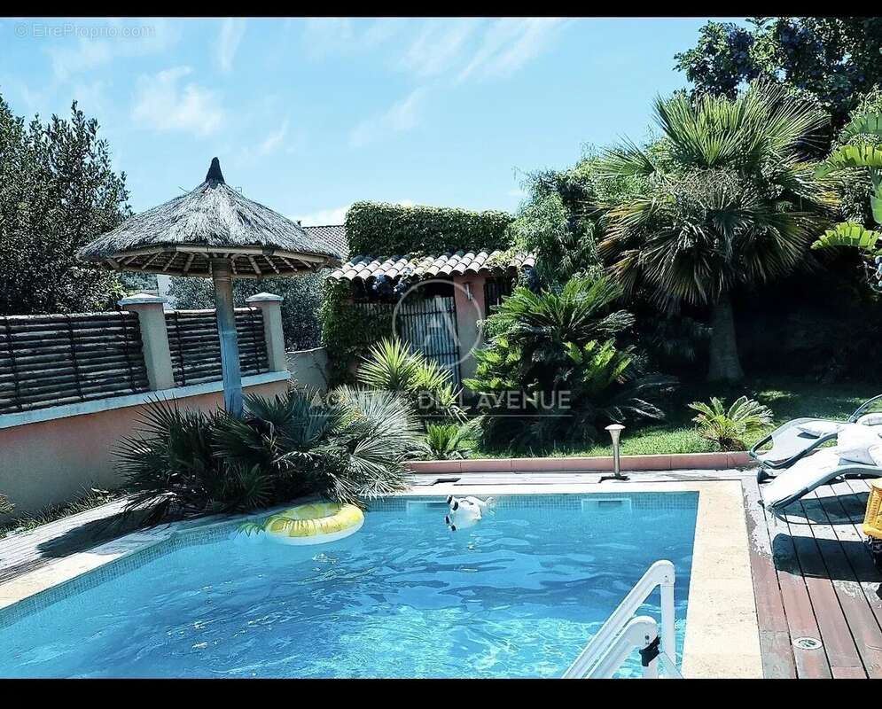 La seyne sud - photo 3