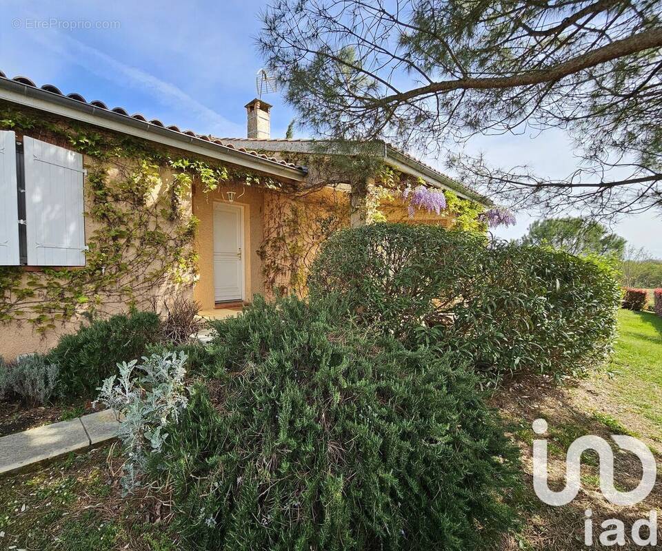 Photo 1 - Maison à SAINT-CLAR-DE-RIVIERE