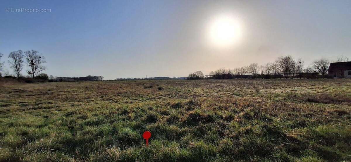 Terrain à SOINGS-EN-SOLOGNE