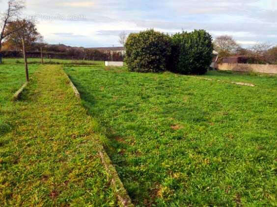 Maison à PARAY-LE-MONIAL