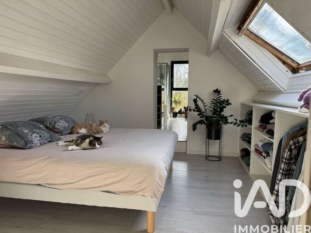 Photo 8 - Maison à LA CHAPELLE-SUR-ERDRE