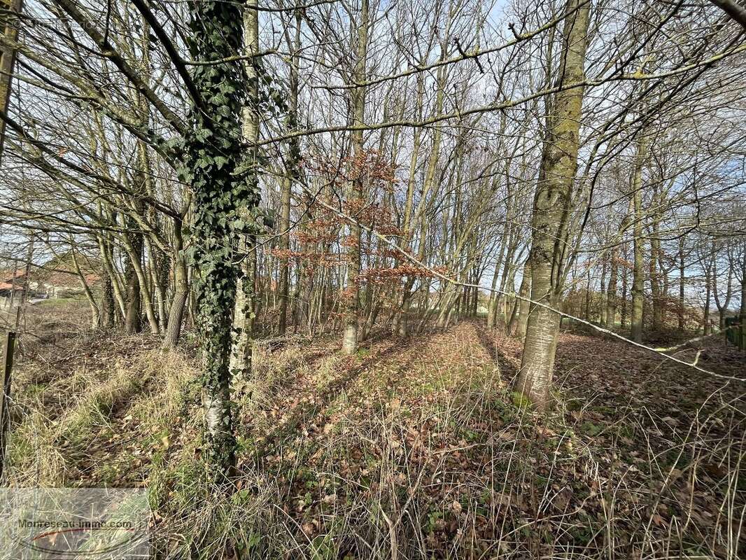 Terrain à VENDHUILE