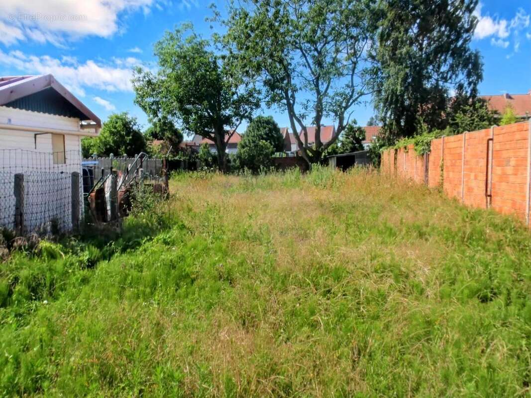Terrain 650 m² à Leforest  - photo 4