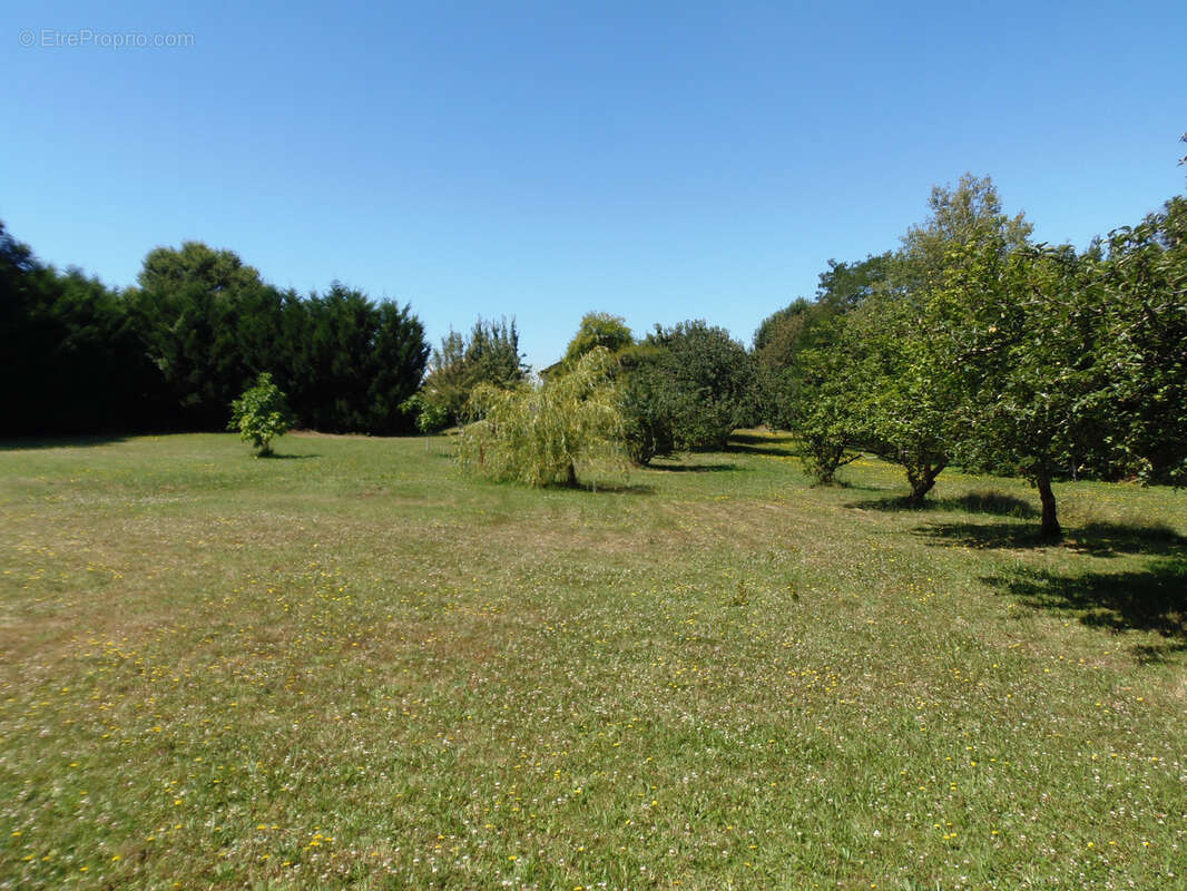Maison à SAINT-THOMAS-DE-CONAC