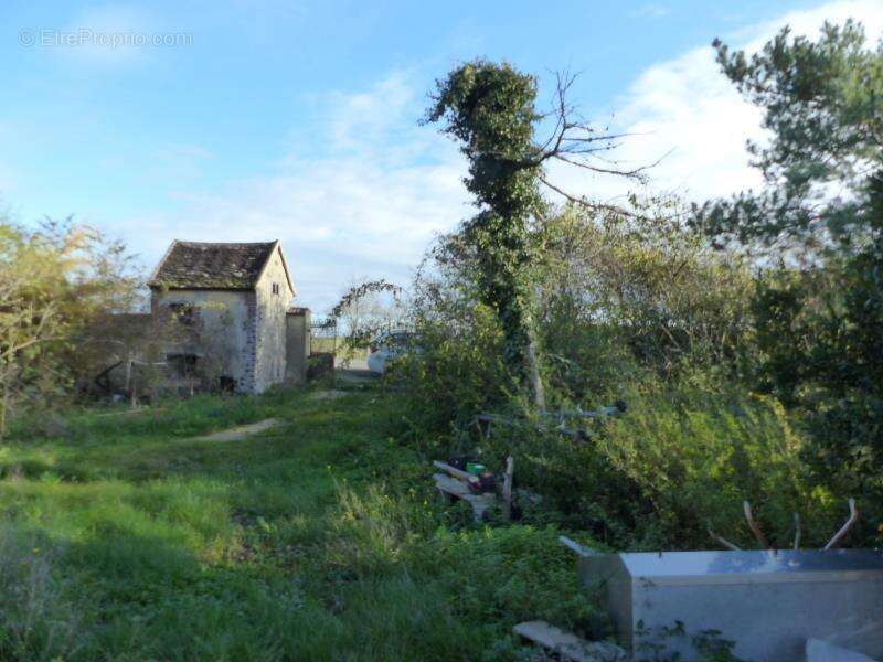 Maison à NEUVY-SAUTOUR