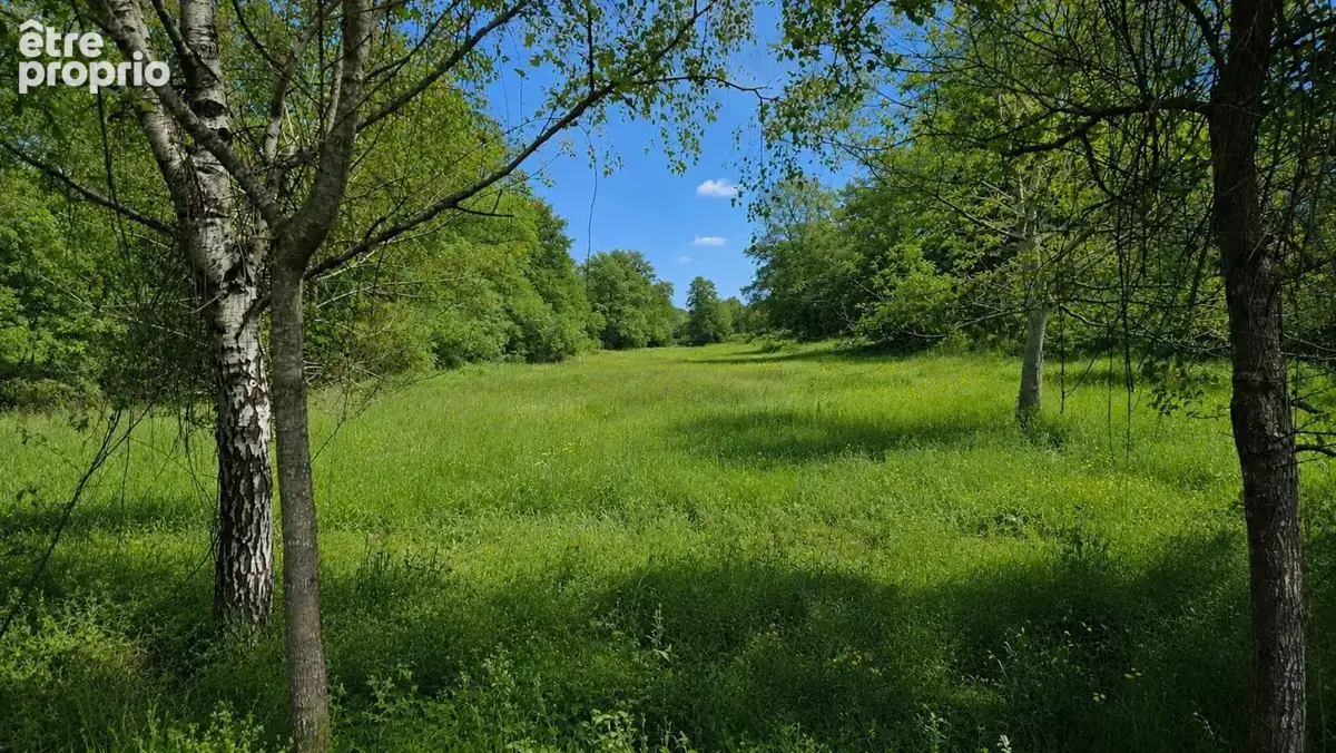 Propriété avec sous-sol total, hangar et plus de 2 hectares - photo 16