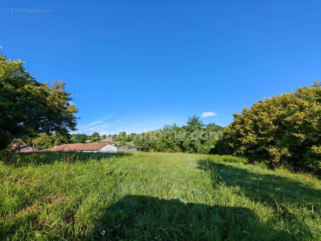 BAISSE DE PRIX !! Terrain constructible de 1 650m² situé à EAUZE (32) - photo 9
