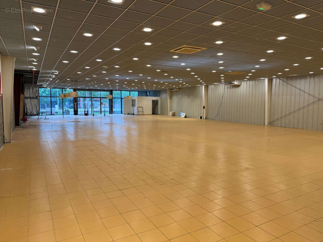 COLMAR - Zone Aérodrome - 4 rue Louis Blériot - 709 m2 - photo 5