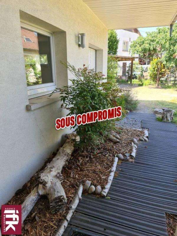 Maison à OBERSAASHEIM