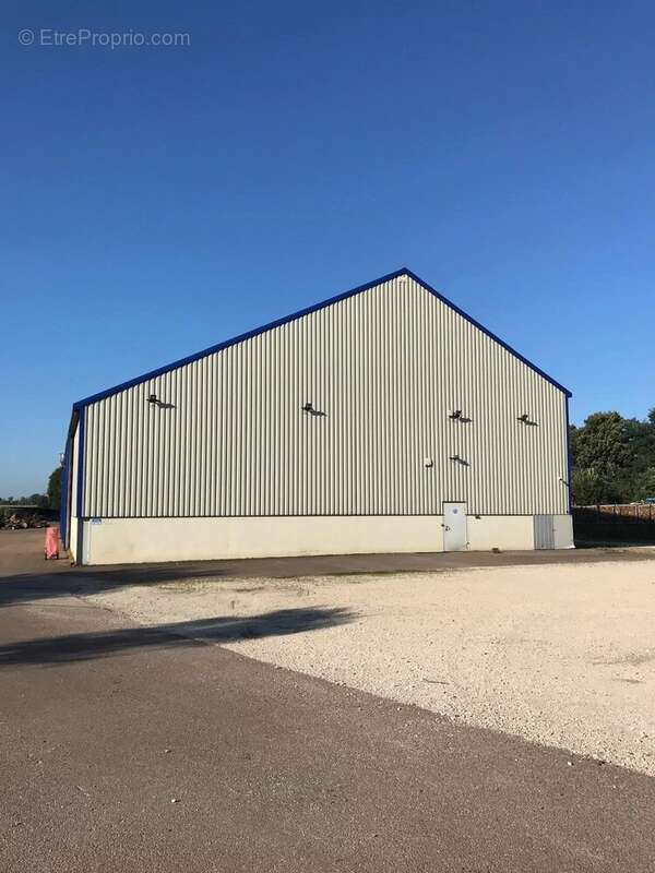 Hangar 717m² avec terrain - photo 2