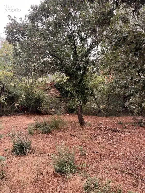 Terrain 2 515 m² à vendre à Olargues (34390) - photo 2