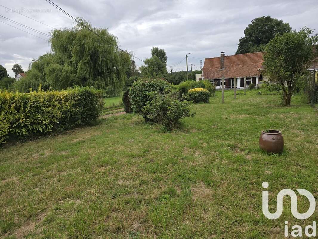 Photo 3 - Maison à AUCHY-LES-HESDIN