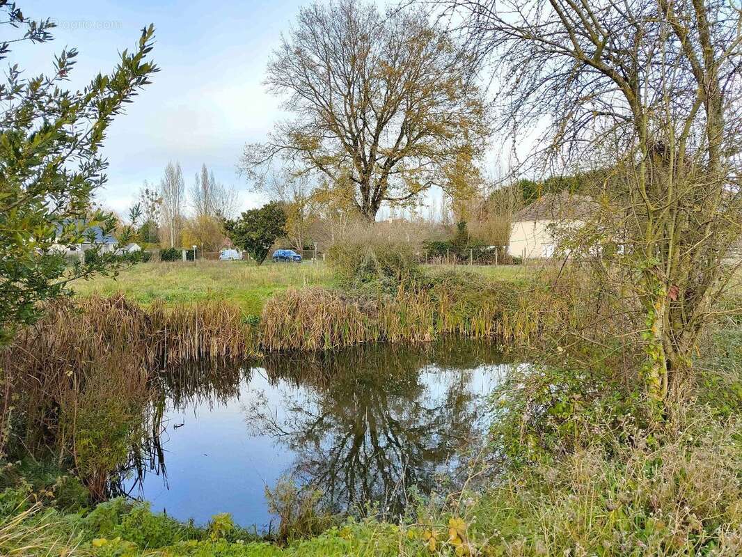 Terrain à VILLAINES-SOUS-MALICORNE