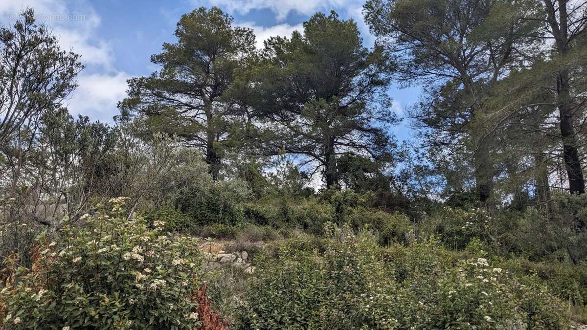 Terrain à CLAVIERS