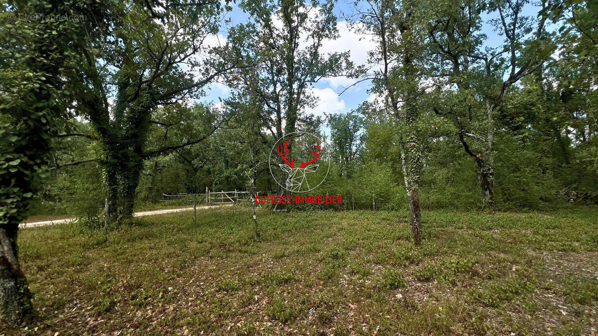 Propriété de 7ha au coeur du Quercy - photo 17