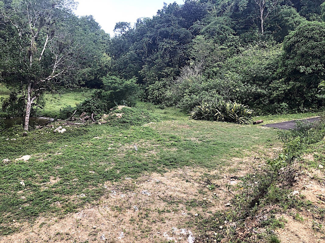 Terrain à LE GOSIER