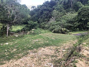 Terrain à LE GOSIER