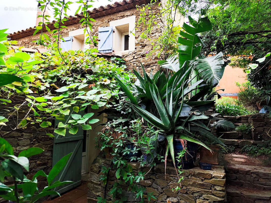 Maison à BORMES-LES-MIMOSAS