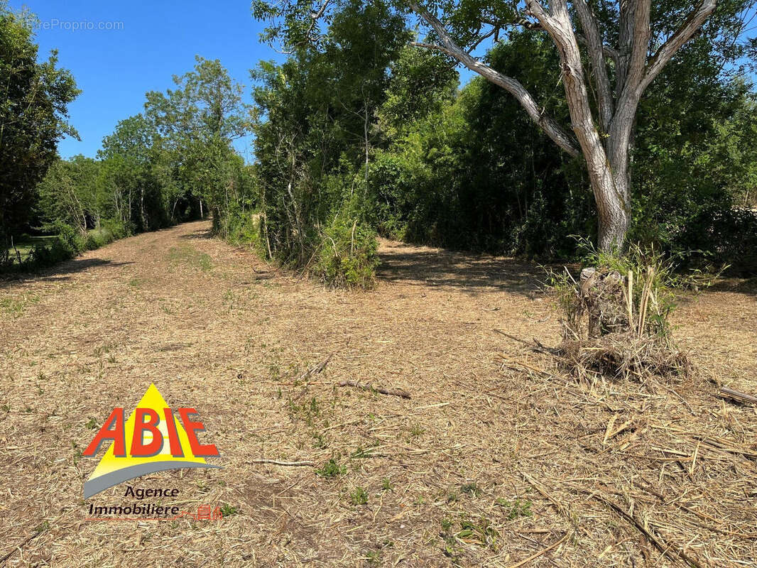 Photo 3 - Terrain à SANSAIS