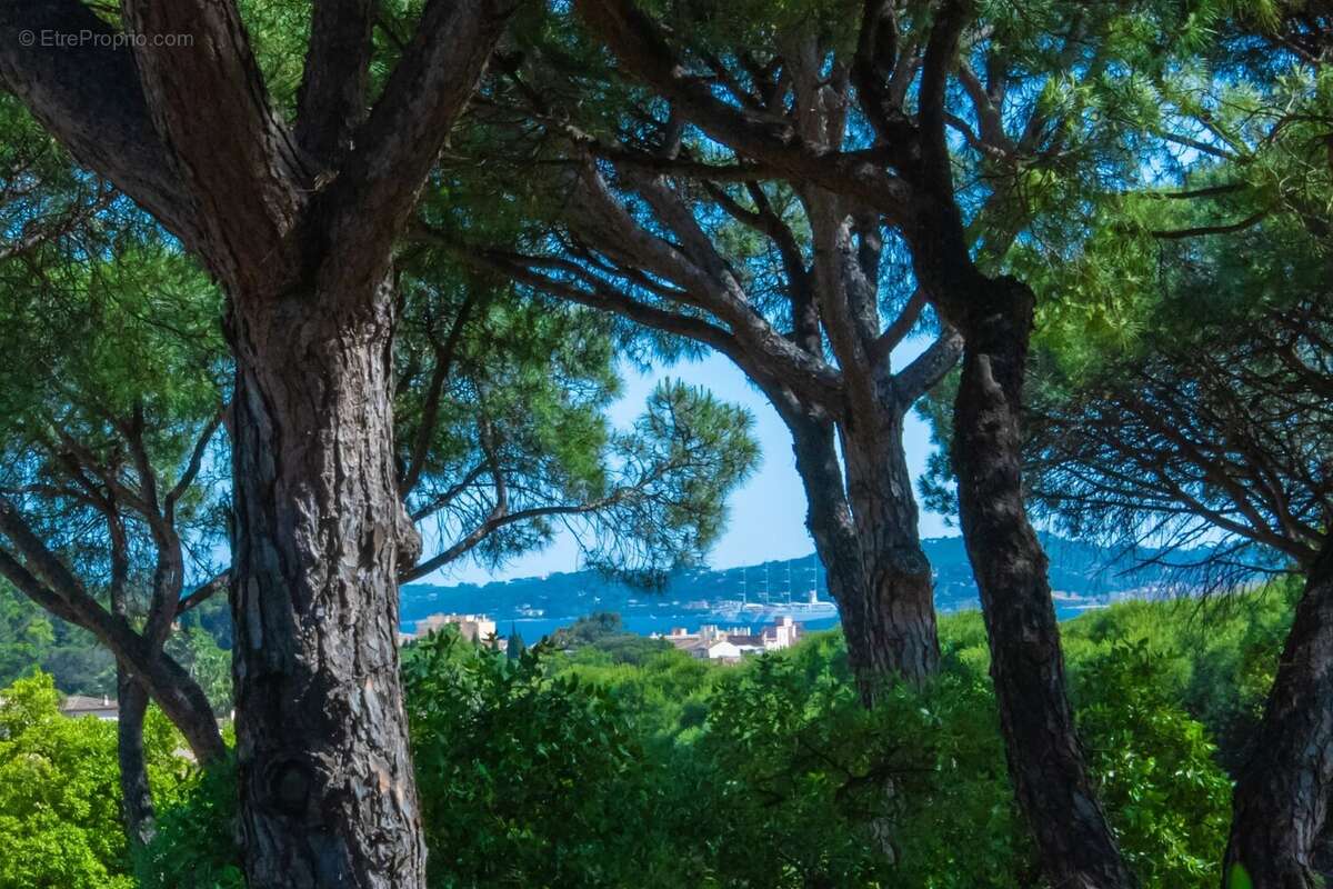 Appartement à SAINTE-MAXIME