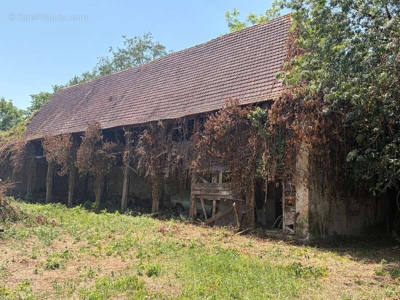 PLAISANCE du GERS proche(32): ANCIENNE PROPRIETE BOURGEOISE avec dépendances, bois, petit etang, 2 hectares,CALME, sans vis à vi - photo 30