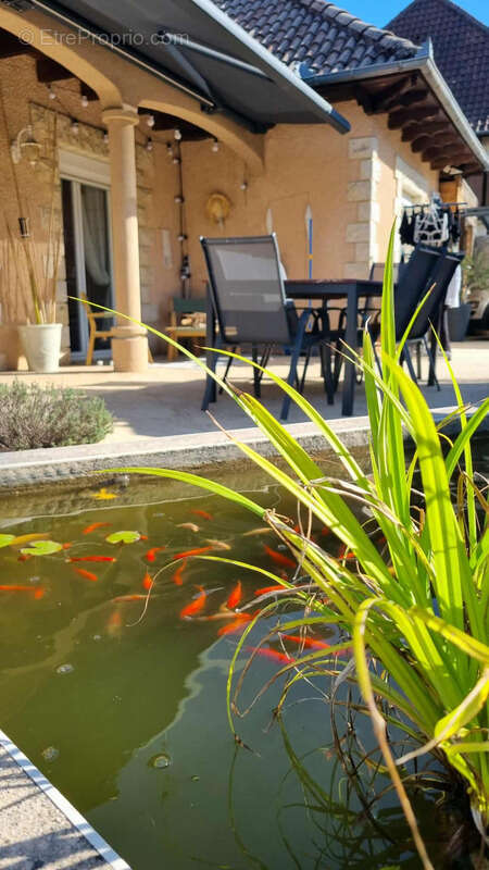 Maison à BRIVE-LA-GAILLARDE