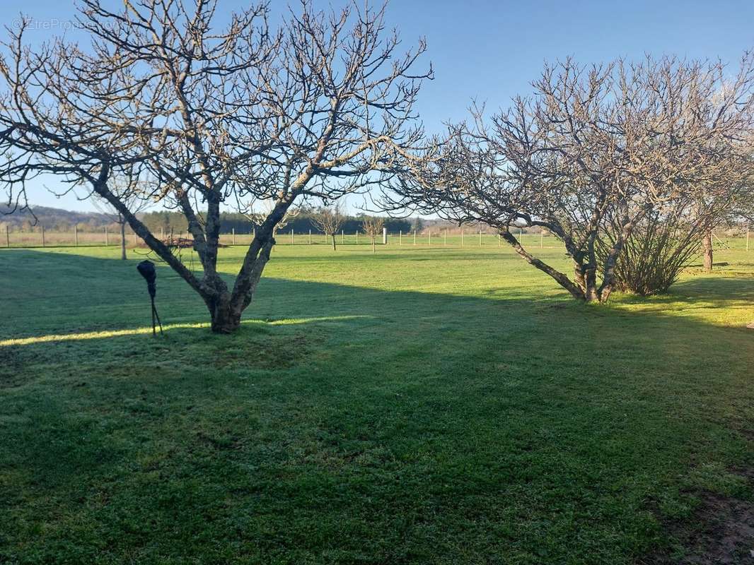 VERGER  - Maison à VELINES