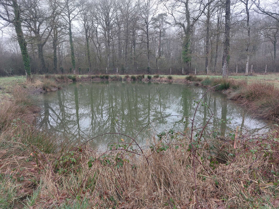 Terrain à MONTIGNE-LES-RAIRIES