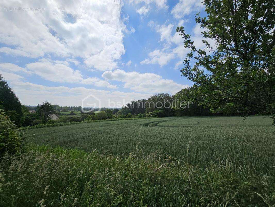 Maison à SAINTE-MARIE