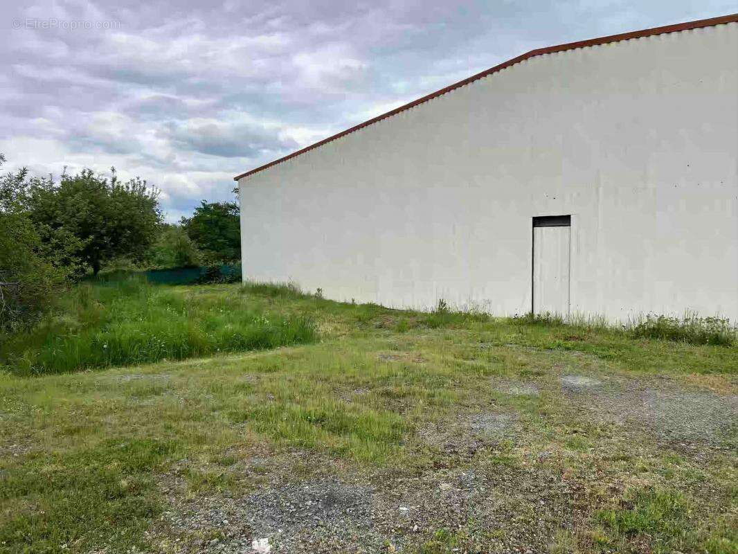 Commerce à COURCAIS