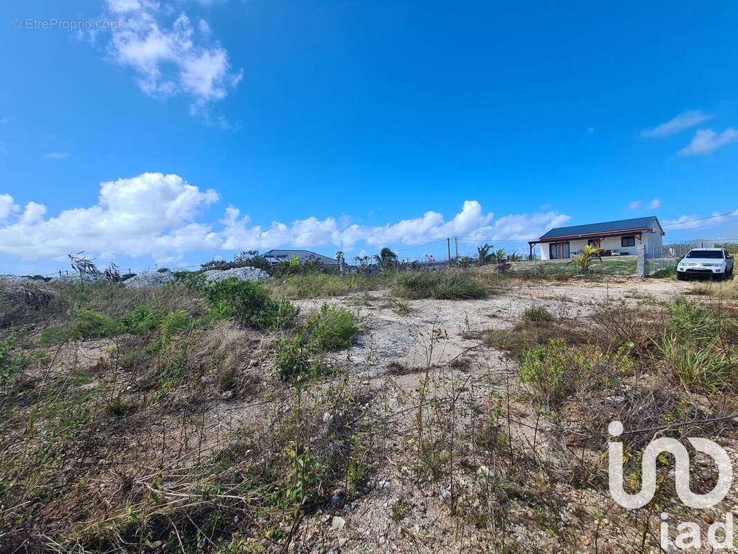 Photo 3 - Terrain à PETIT-CANAL