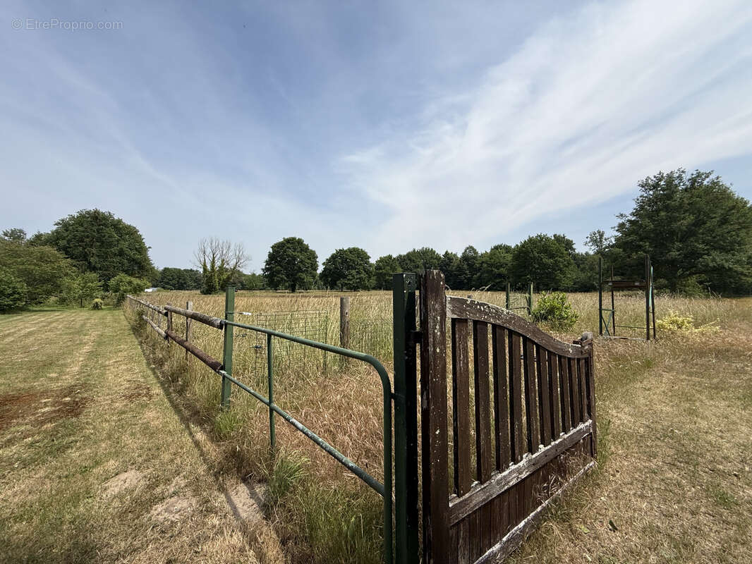 Maison à PARIGNE-L&#039;EVEQUE