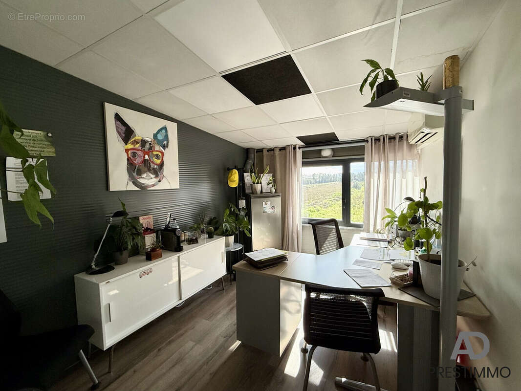 Appartement à BORGO