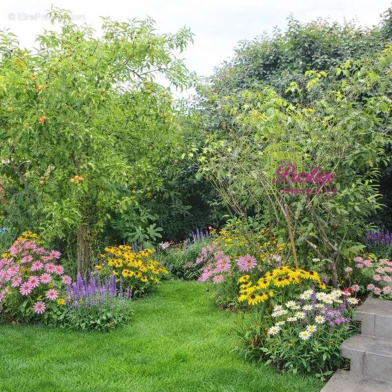 Maison à SARTROUVILLE