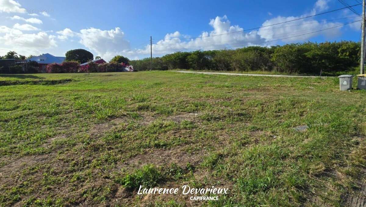 Terrain à vendre de 631,00 m² SAINT FRANCOIS (971) - photo 2