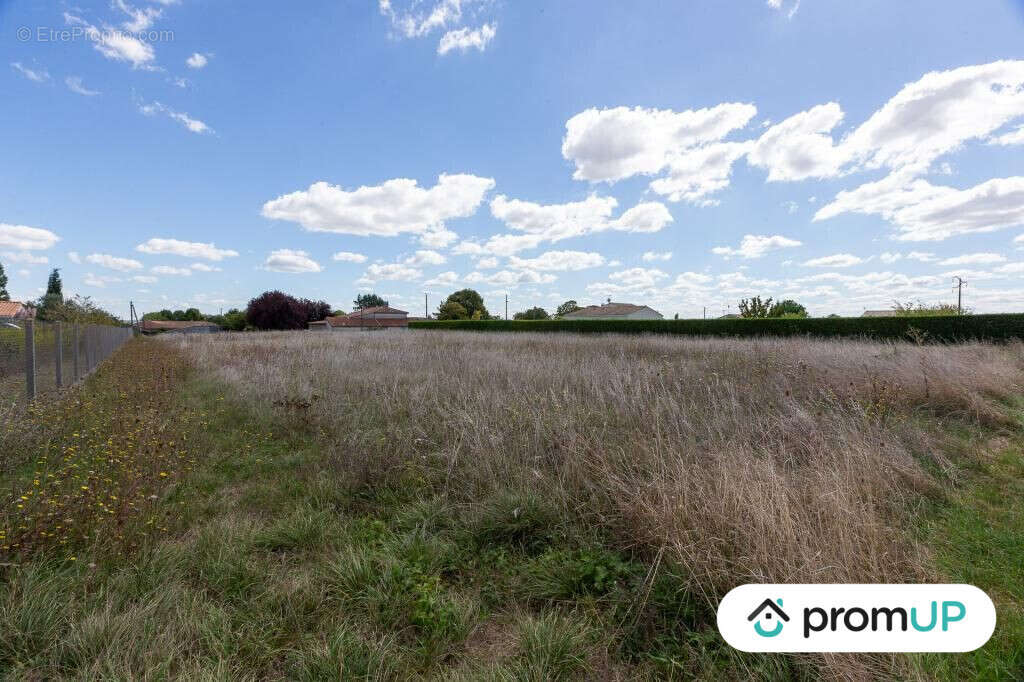 Terrain à FONTAINES-D'OZILLAC
