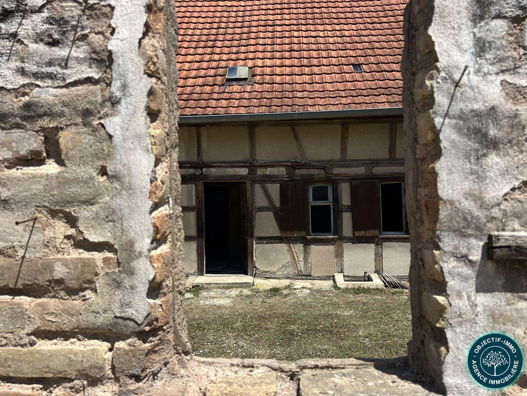 Maison à LIPSHEIM