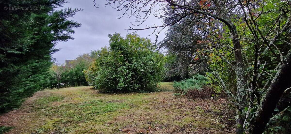 Terrain à COUILLY-PONT-AUX-DAMES