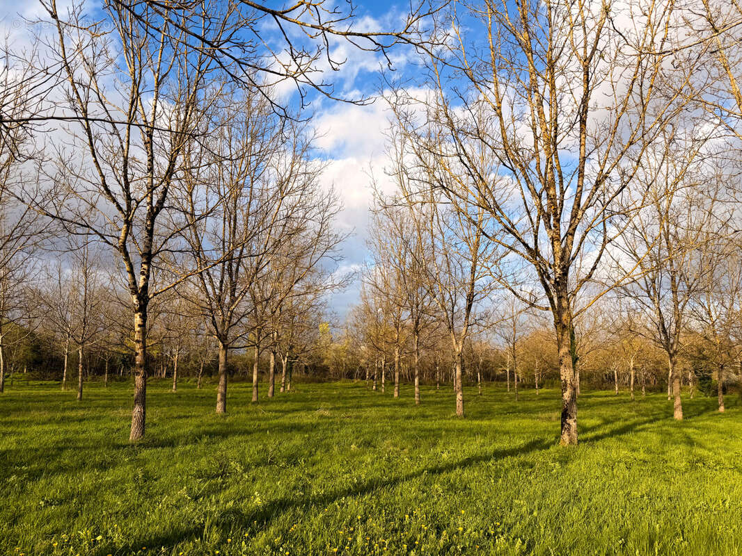 Maison à RAZAC-SUR-L'ISLE