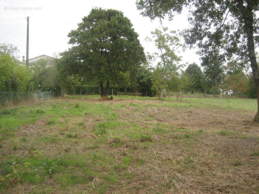 Terrain 1398 m² à Beguey  - photo 2