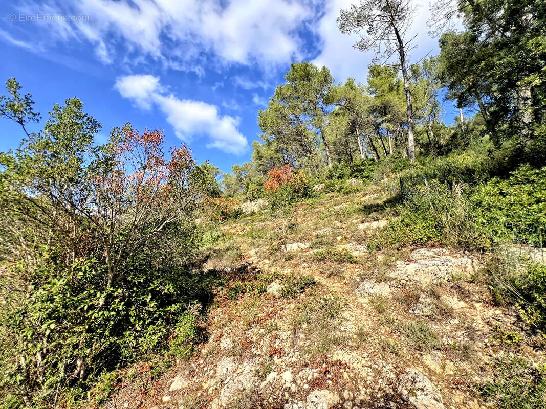 Maison à SOLLIES-TOUCAS
