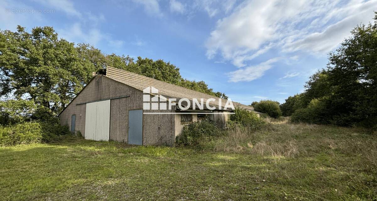 Appartement à FROIDFOND