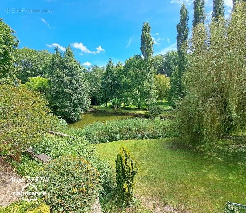 Maison à CELLES-SUR-BELLE