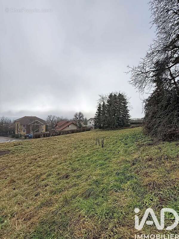 Photo 7 - Terrain à LANCRANS