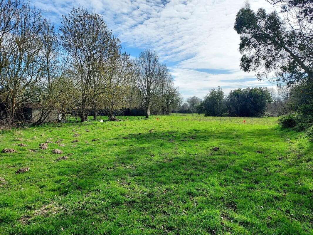 Photo 2 - Terrain à SAINT-VINCENT-SUR-GRAON