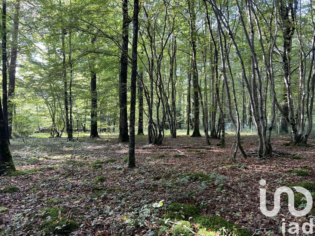 Photo 3 - Terrain à SAINT-HILAIRE-LES-ANDRESIS